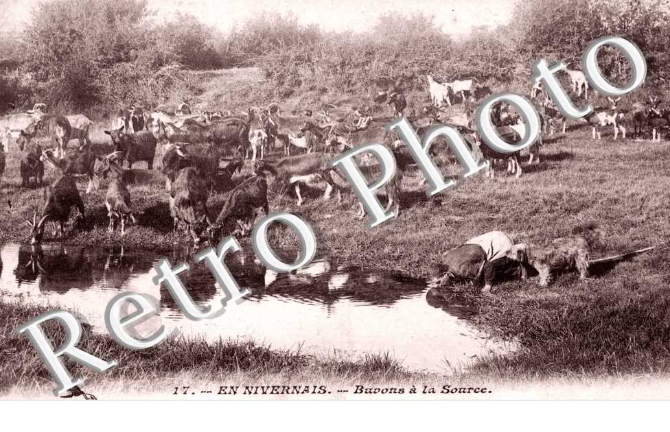 Buvons a la source