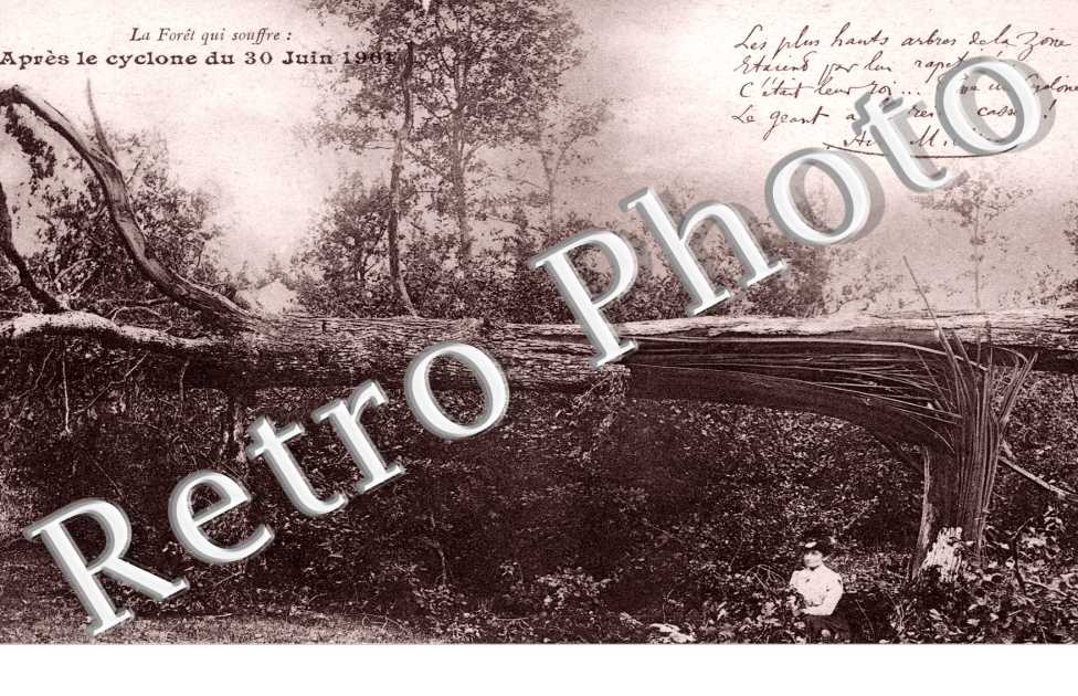 apres le cyclone du 30 juin 1901