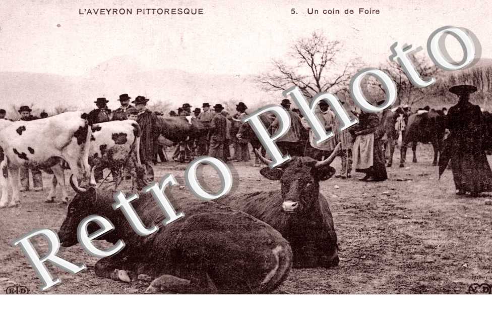 un coin de foire