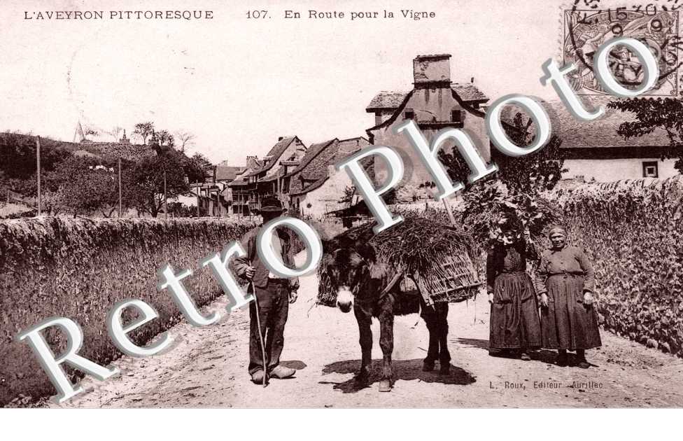 en route pour la vigne