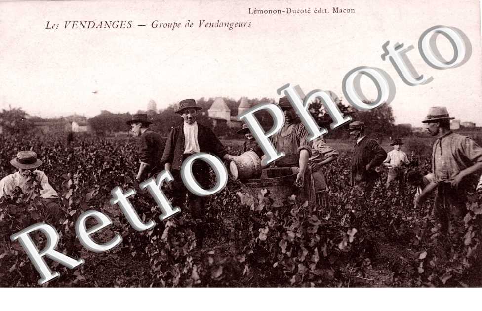 Groupe de Vendangeurs