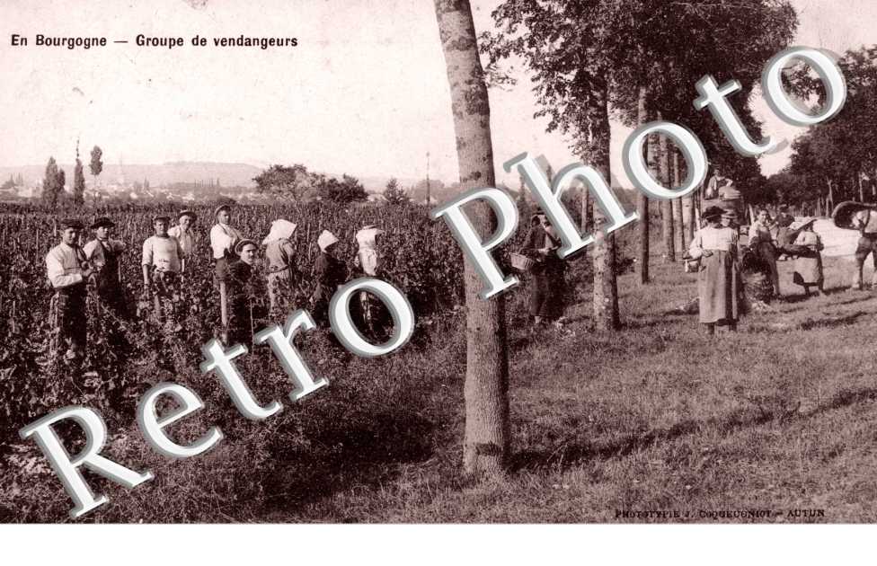Groupe de Vendangeurs