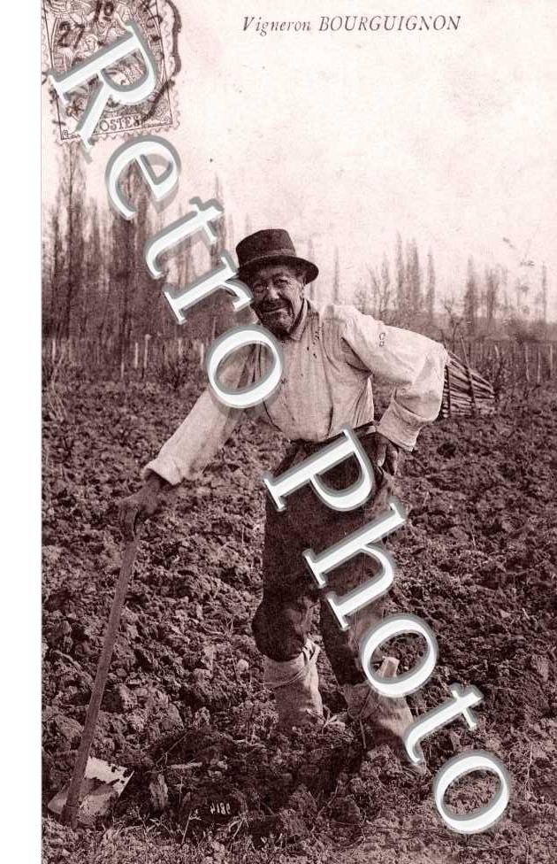 Vigneron Bourguignon