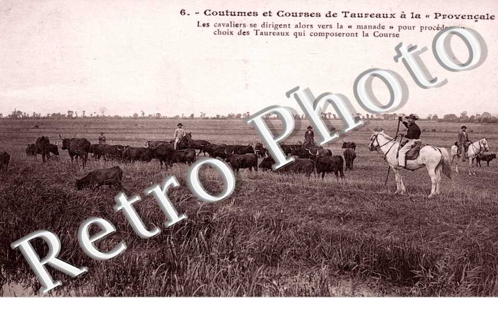 Coutumes et Courses de Taureaux