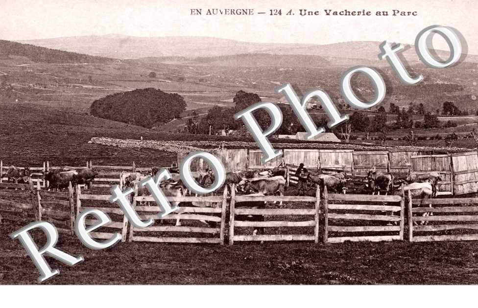 Une Vacherie au Parc