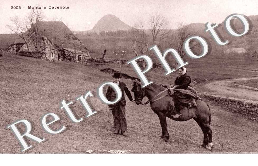 monture Cevenole