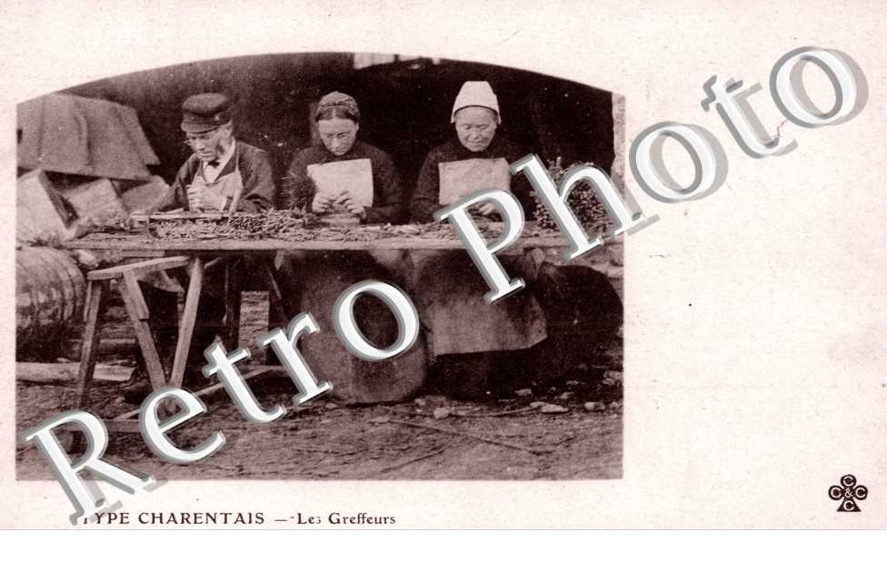 Les Greffeurs