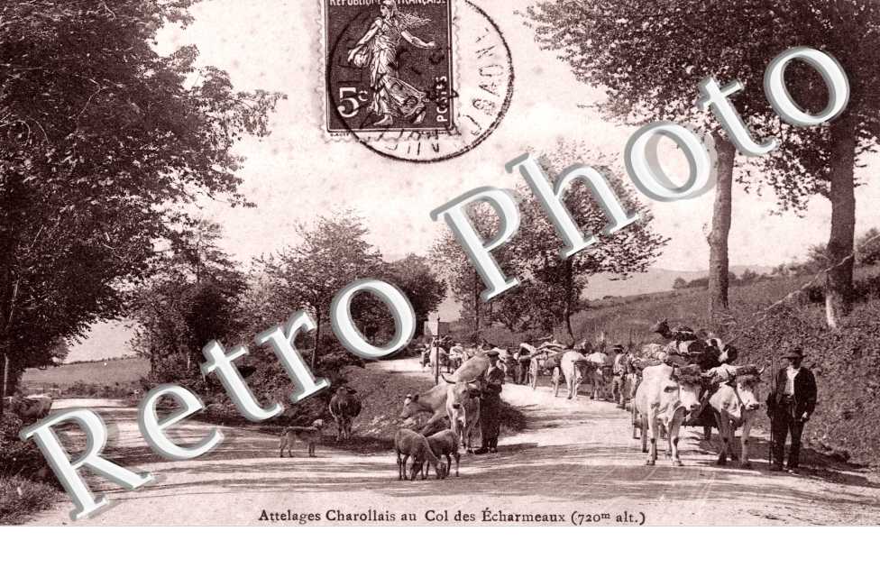 Attelage au Col des Echarmeaux