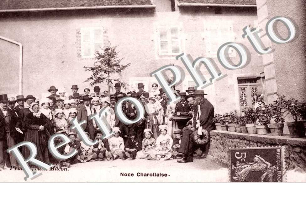 Noce Charollaise