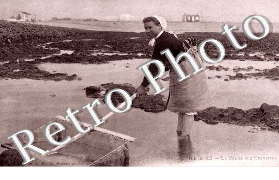 la peche aux crevettes