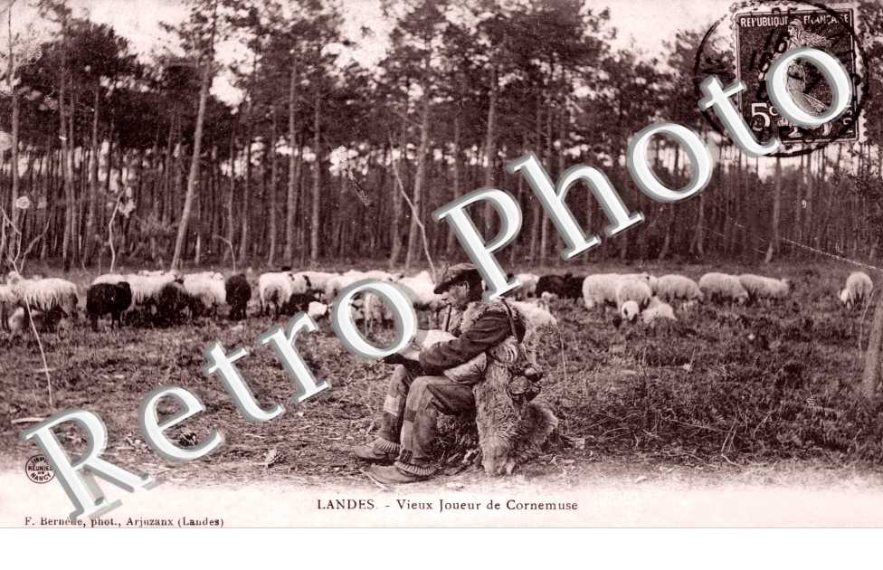 Vieux joueur de Cornemuse