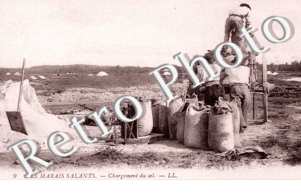 Les marais salants Chargement du sel