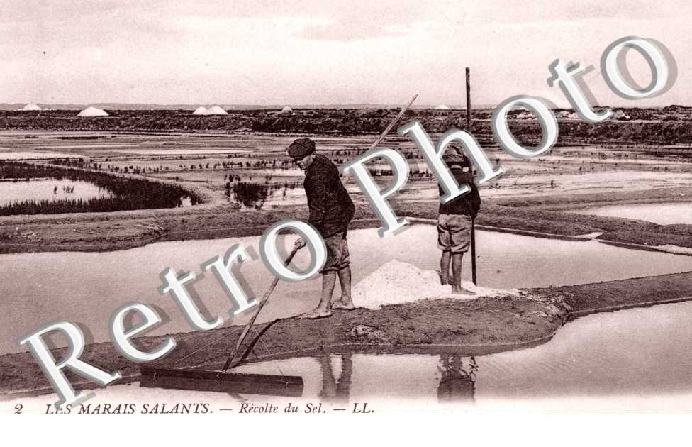 Les marais salants La recolte du sel
