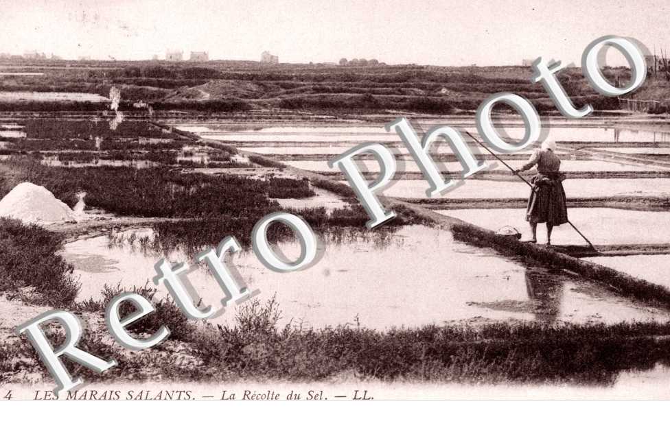 Les marais salants La recolte du sel