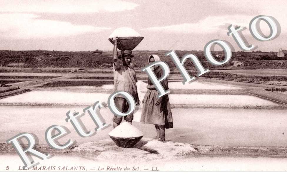 Les marais salants La recolte du sel