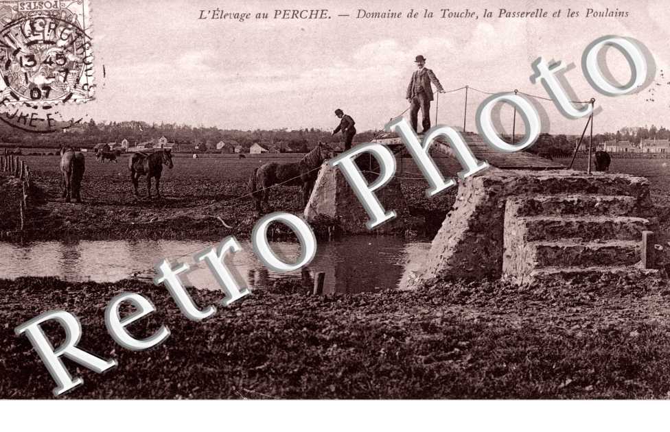 l'elevage au Perche Domaine de La Touche