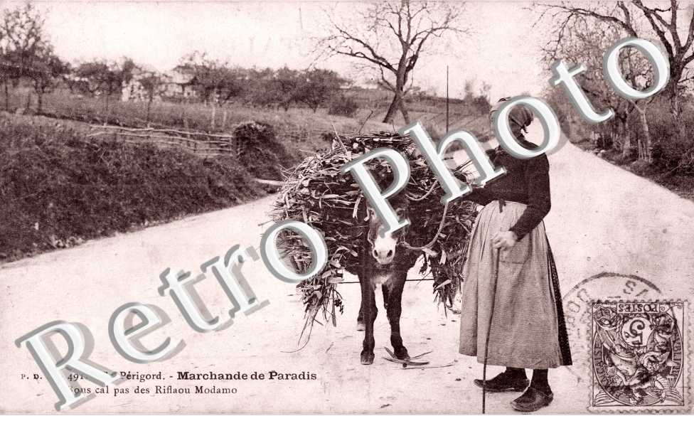 marchande de paradis