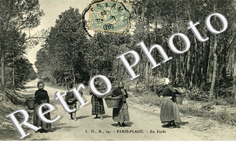 En Forêt