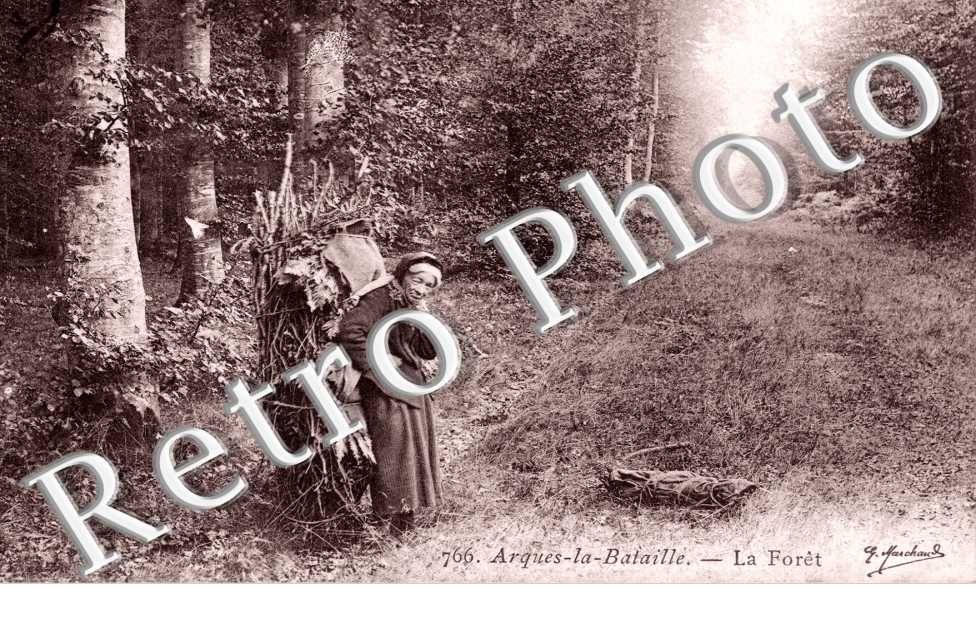 la foret