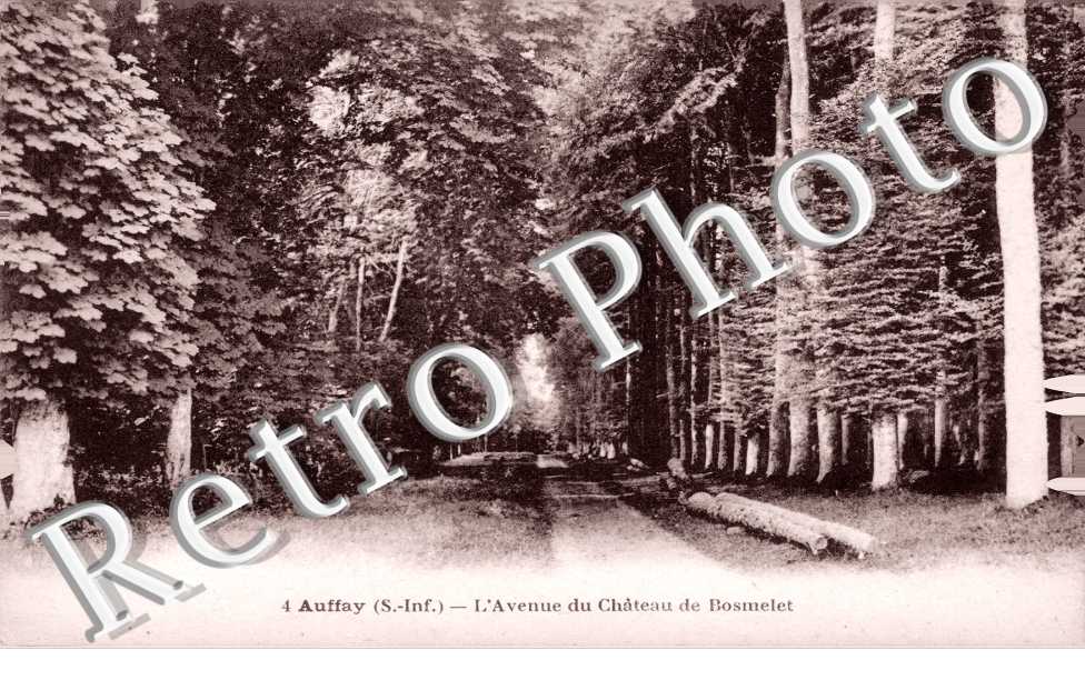 Chateau du Bosmelet - l'Avenue