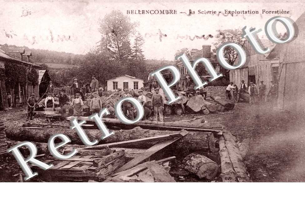 La Scierie, Exploitation Forestiere