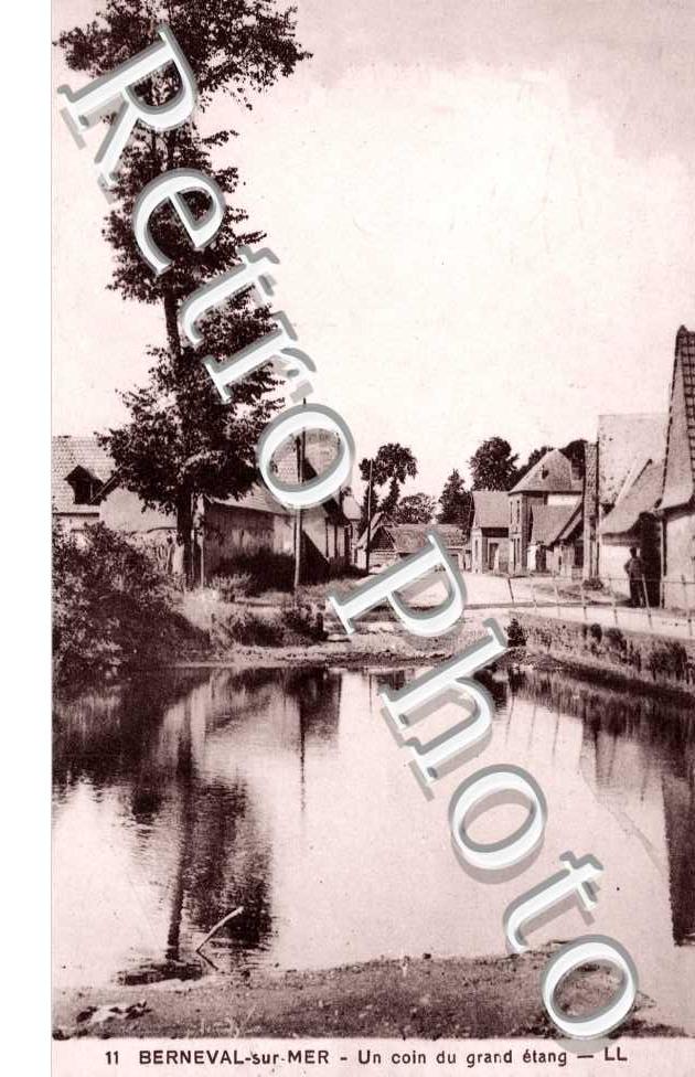 Un Coin du Grand Etang