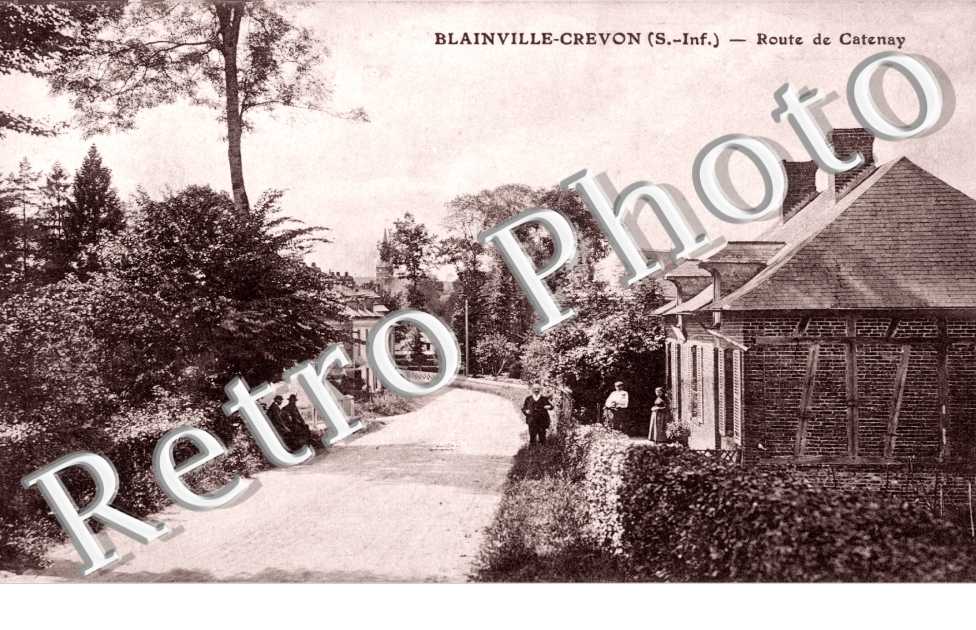 Route de Catenay