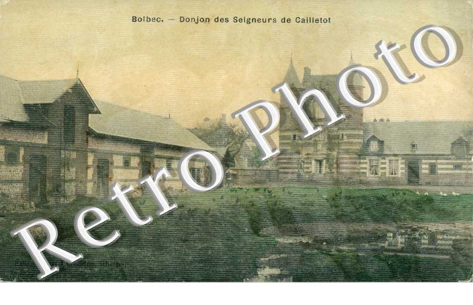 Donjon des Seigneurs de Cailletot