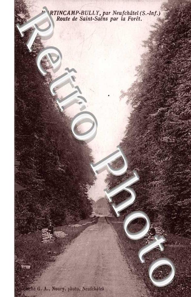 Route de Saint Saëns par la Forêt