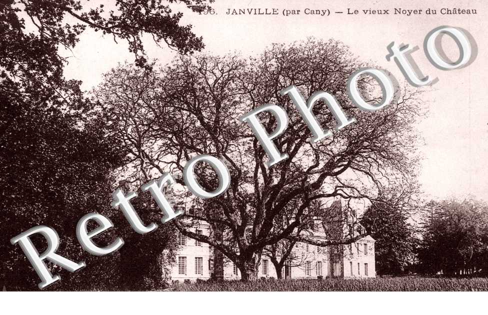 Le Vieux Noyer du Chateau