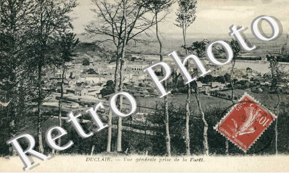 Vue generale prise de la foret