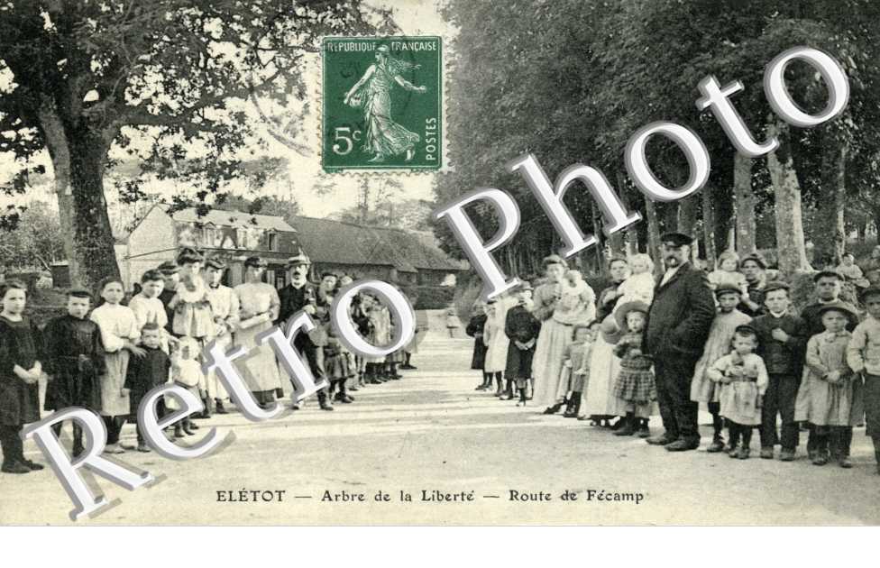 Arbre de la liberte - Route de Fecamp
