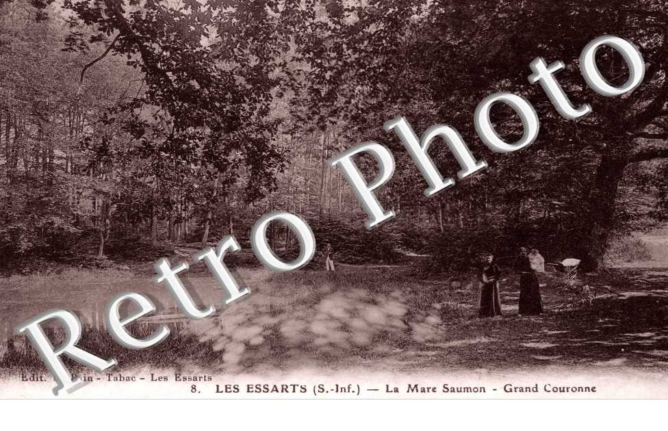 La Mare Saumon - Grand Couronne
