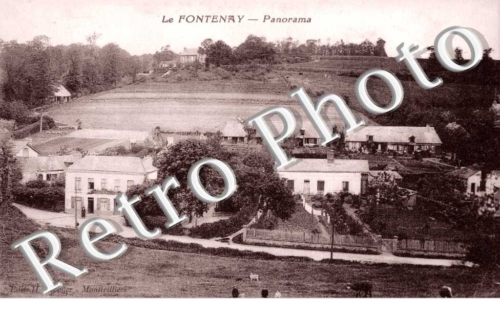 Panorama