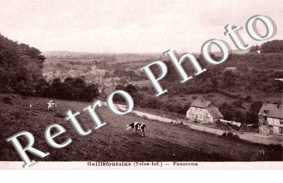 Panorama