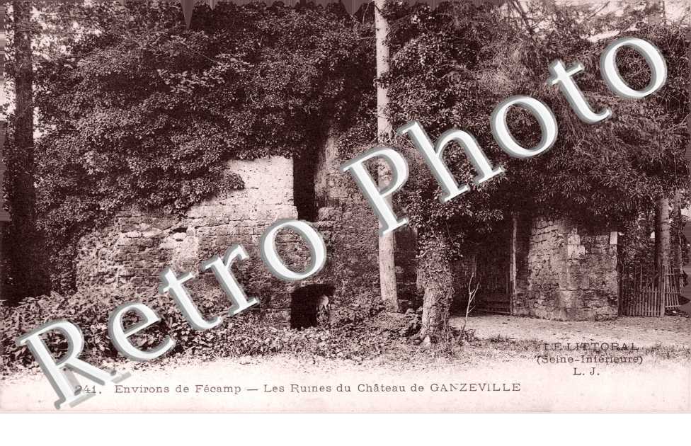 les ruines du château