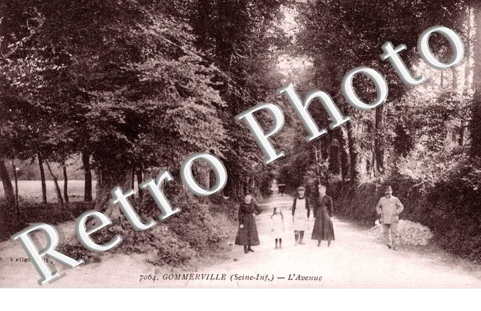 L'avenue