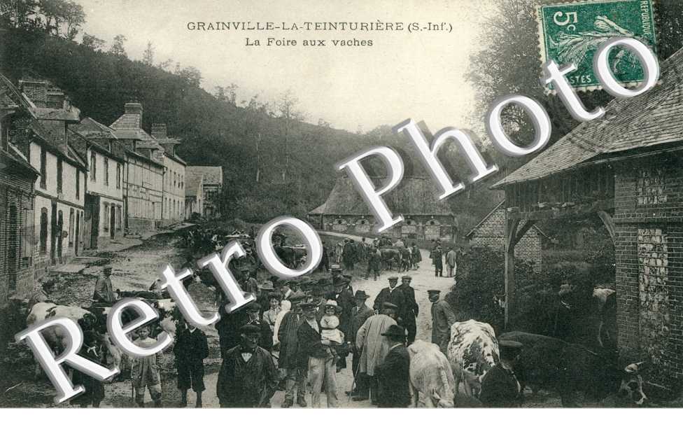  La foire aux vaches