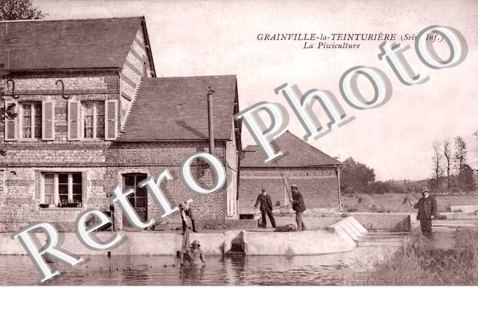 La Pisciculture