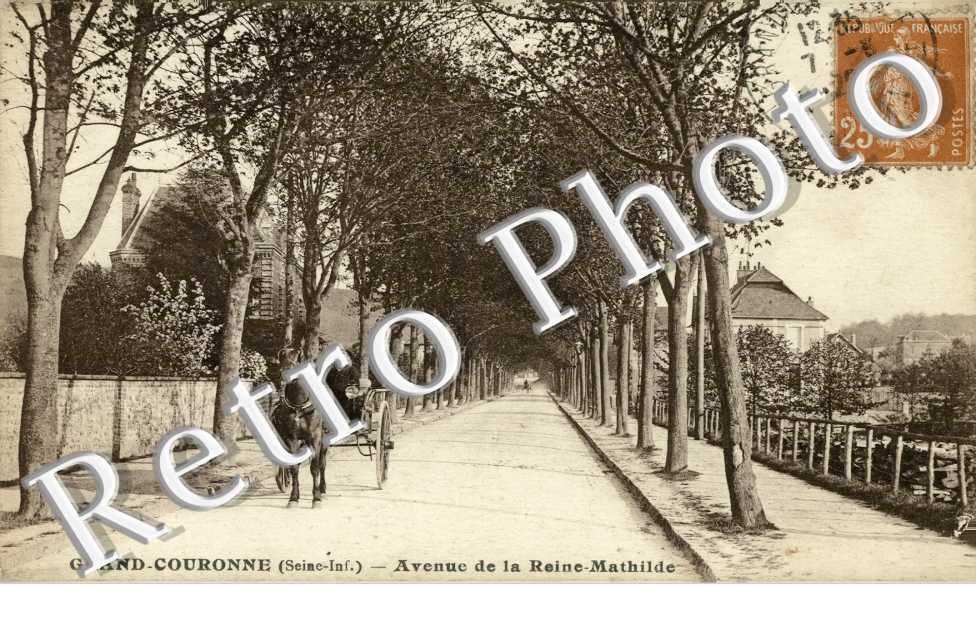 Avenue de la reine Mathilde - attelage de cheval