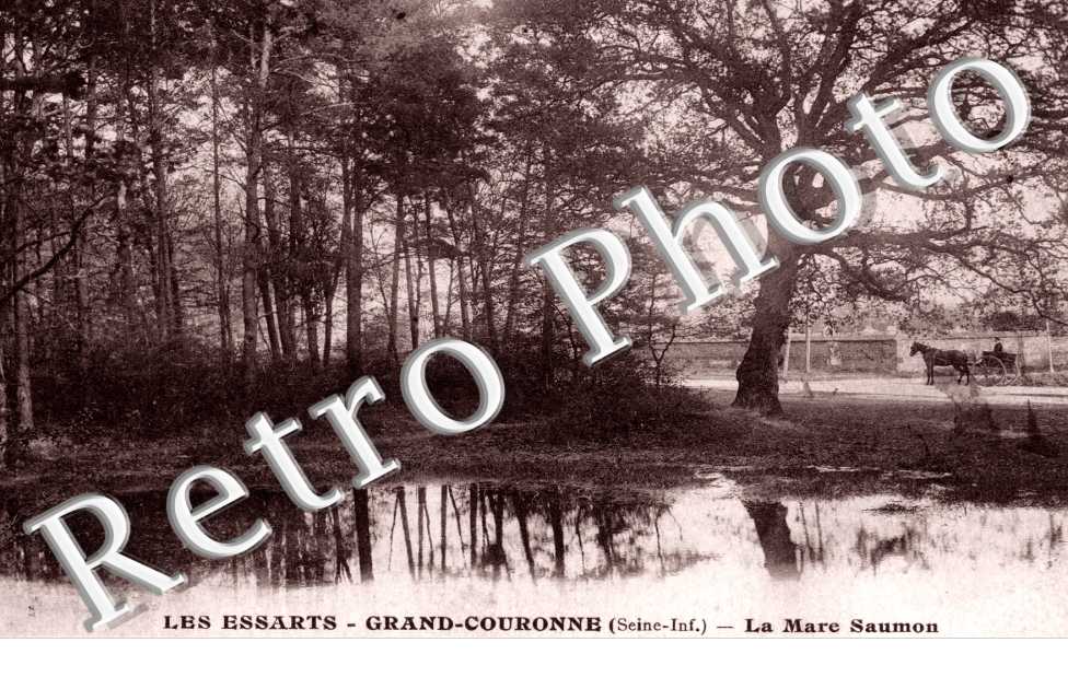 La Mare Saumon