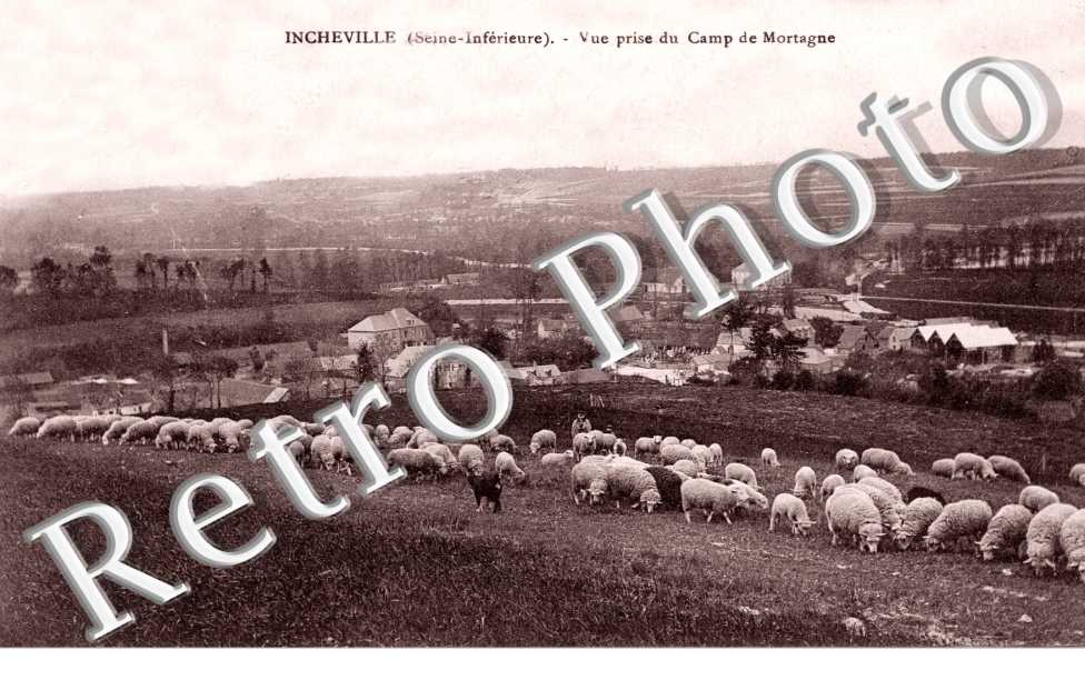Vue prise du camp de Mortagne