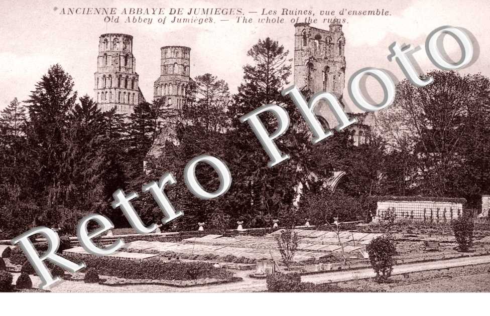 Ancienne Abbaye - Les Ruines, vue d'ensemble