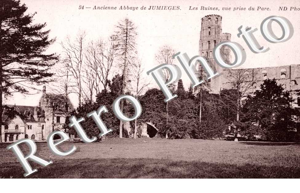 l'Ancienne Abbaye de Jumieges, les Ruines vue prise du Parc