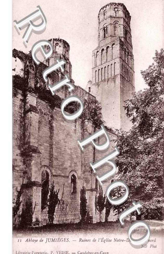 Abbaye - Ruines de l'eglise Notre Dame
