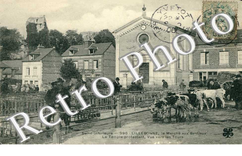 Marche aux bestiaux
