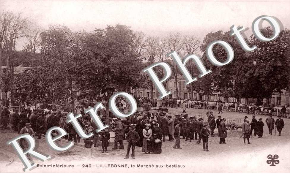 Marche aux bestiaux