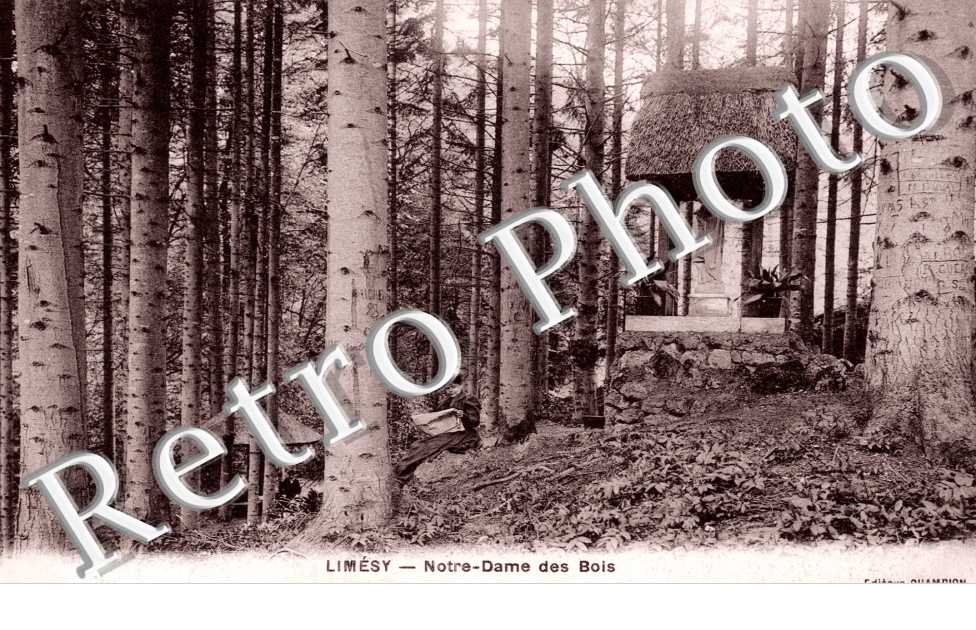Notre Dame des Bois