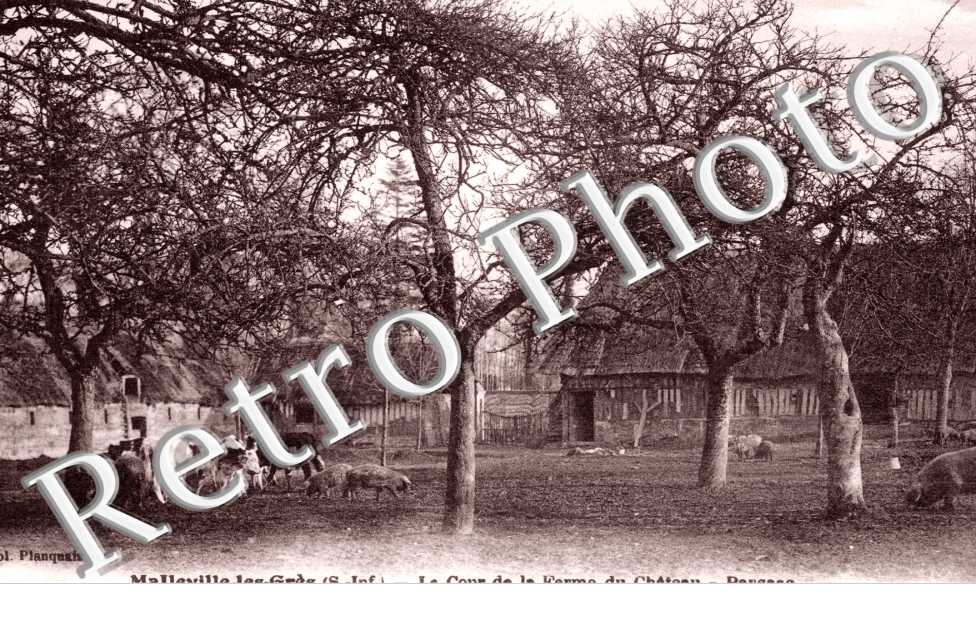 la Cour de la Ferme du Chateau, Paysage