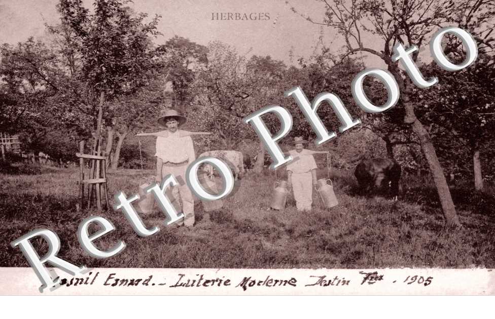 Herbages - laiterie